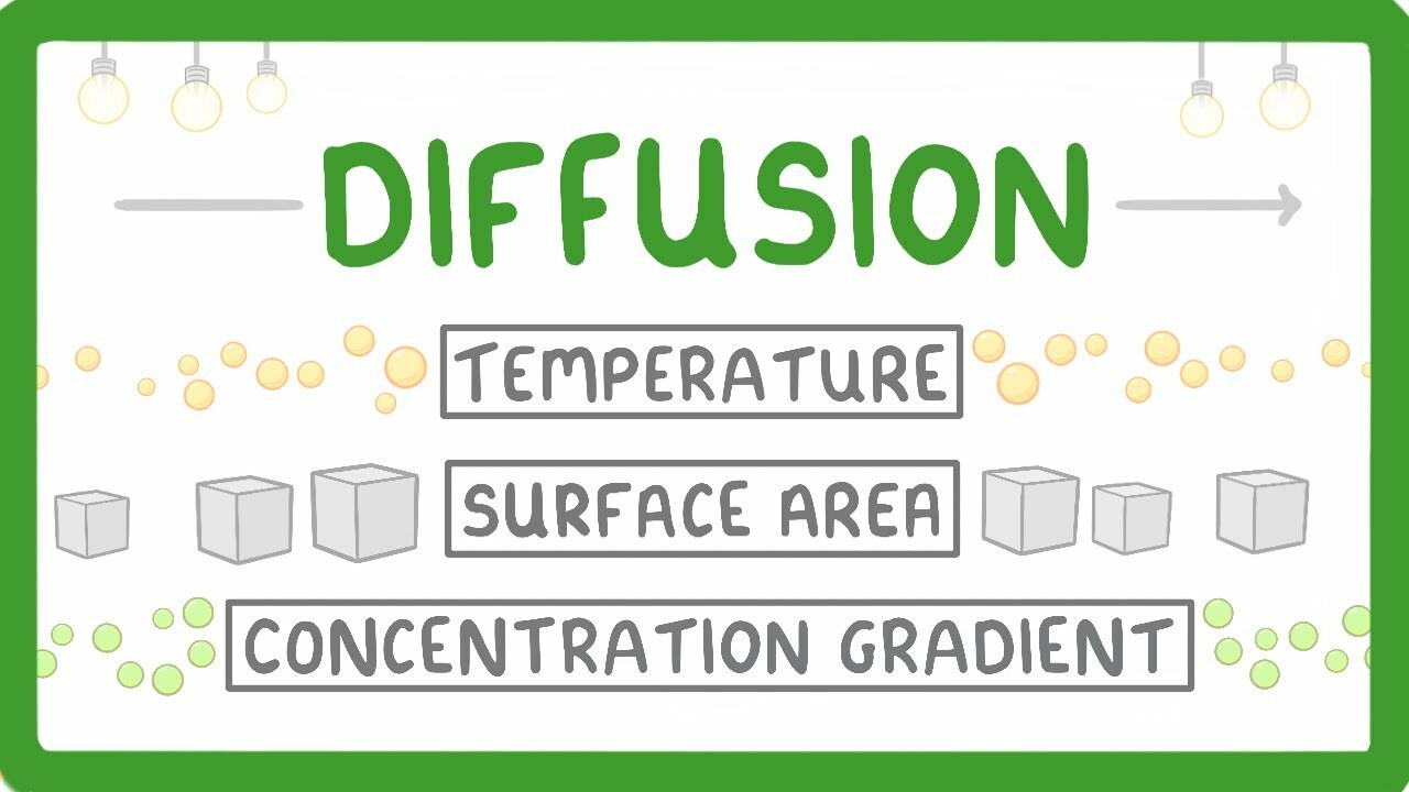 What is Diffusion? How Does it Work? What Factors Affect it? #7